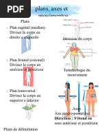 Plans et axes anatomiques du corps | PDF | Système de référence en anatomie