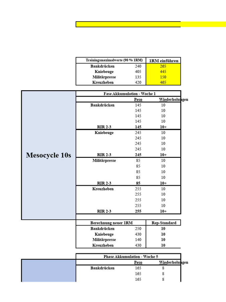 Programm Kraft Der Juggernaut-Methode | PDF
