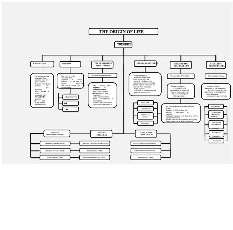 Conceptual Map of The Origin of Life | PDF | Cell (Biology) | Life