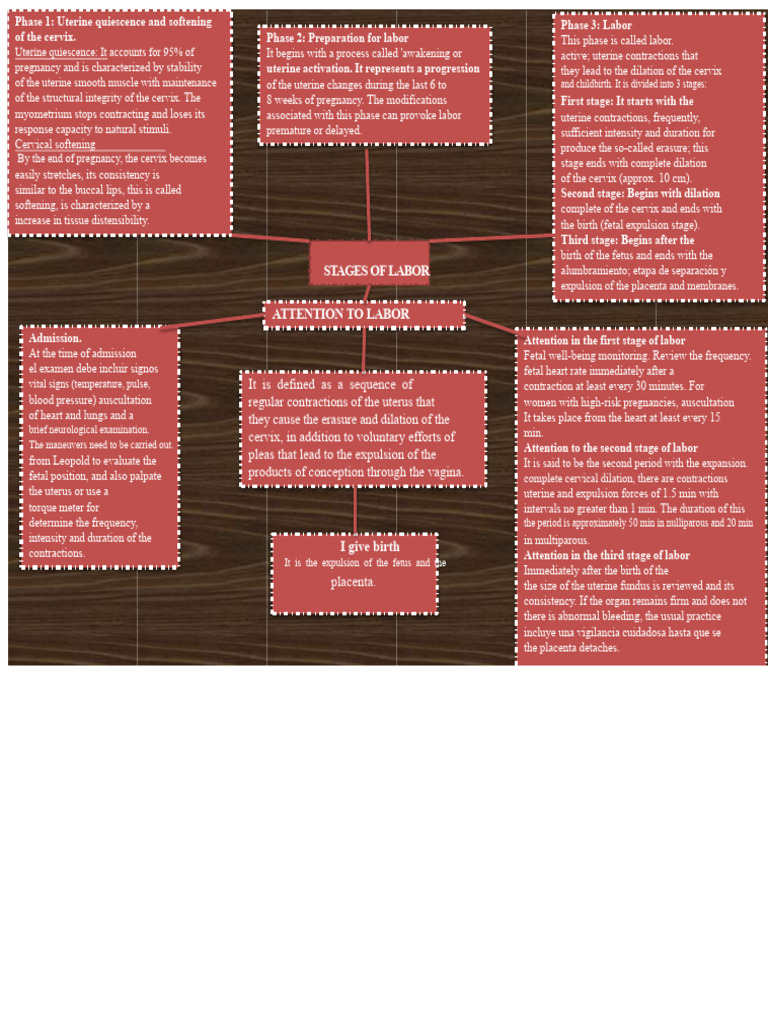 Phases and Stages of Labor Explained | PDF | Childbirth | Uterus