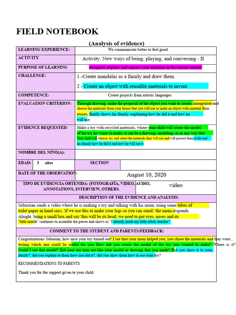 Field Notebook Collection of Initial Evidences Example | PDF | Toys