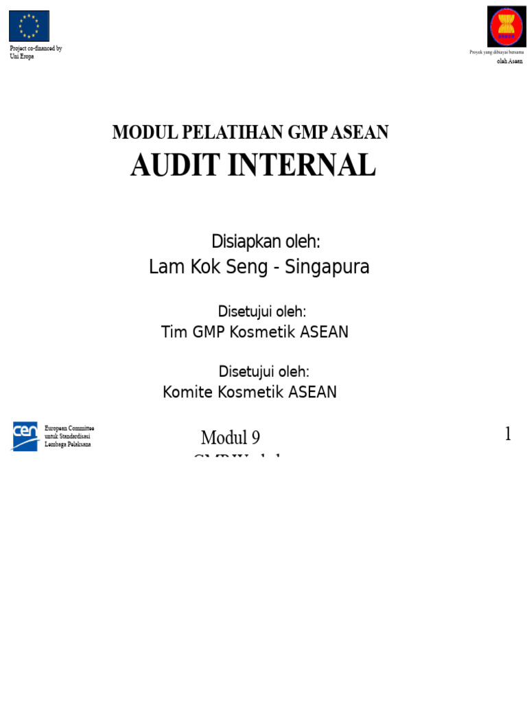 Modul Audit Internal Pdf