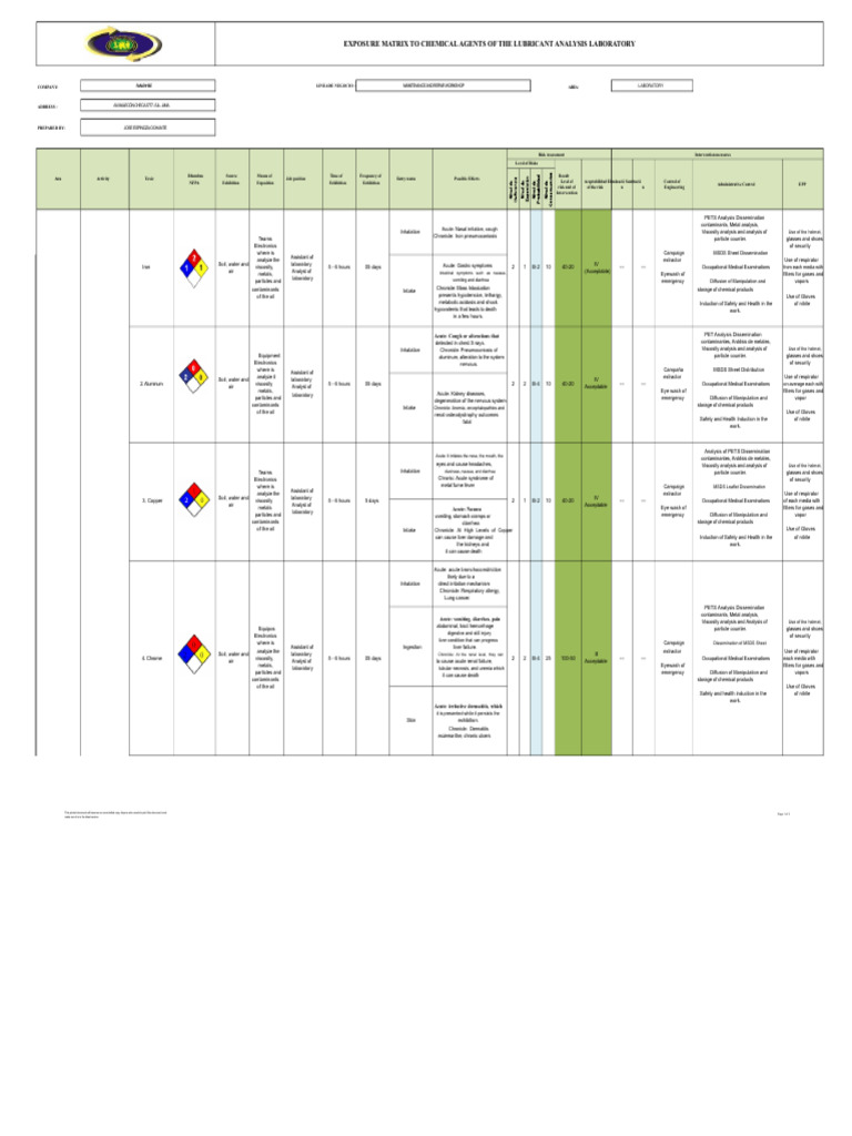Chemical Exposure Risk Assessment Guide | PDF | Diseases And Disorders ...
