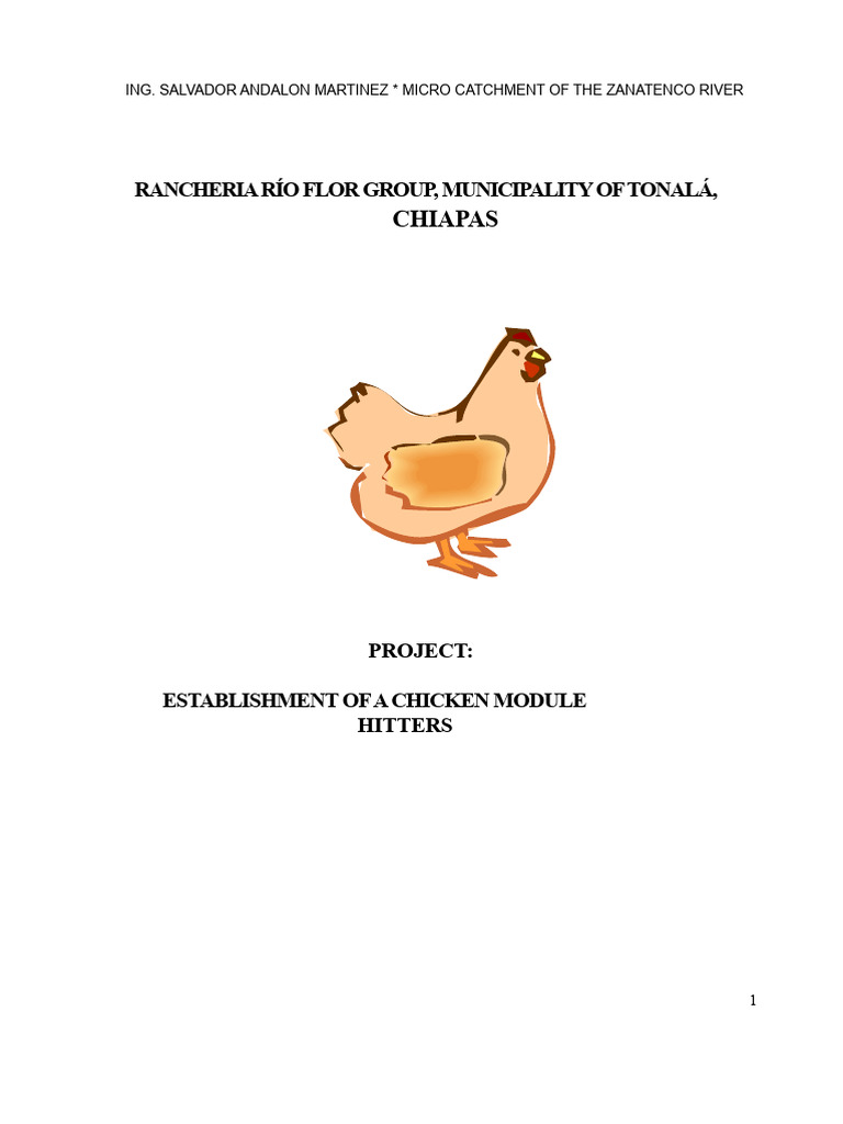 Laying Hens Project | PDF | Foods | Chicken