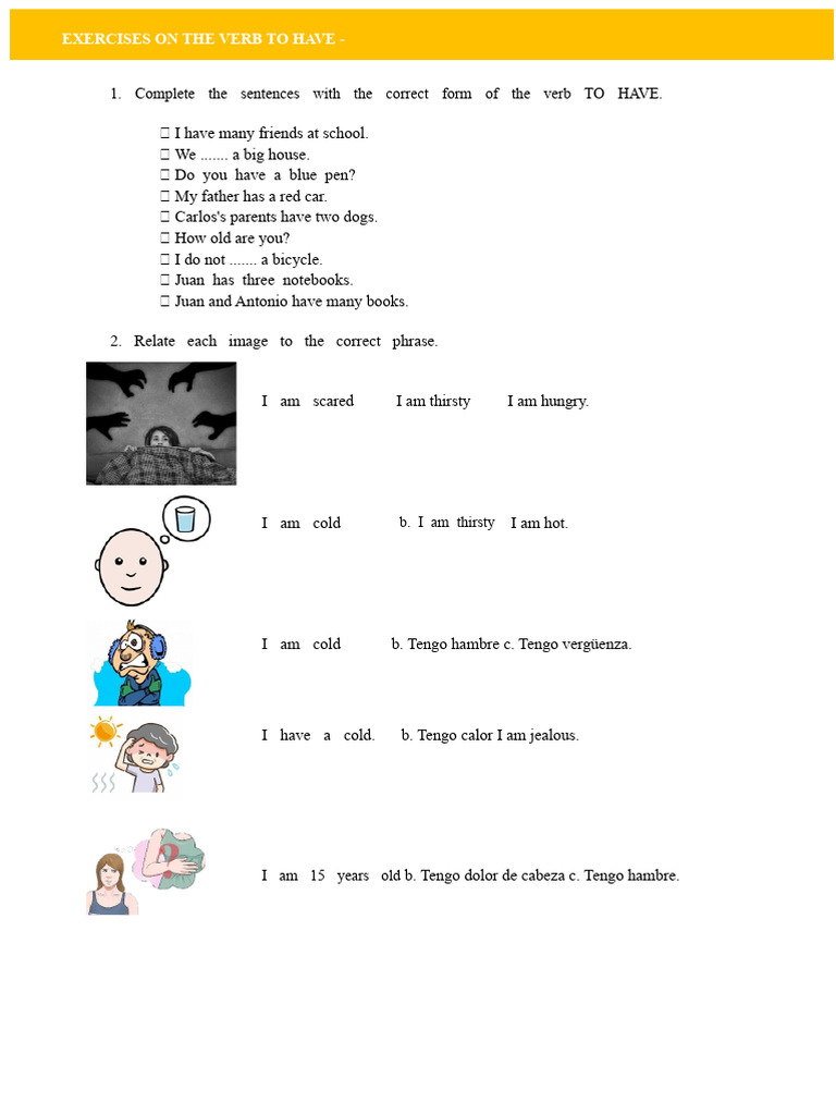 Workshop On The Verb TO HAVE | PDF