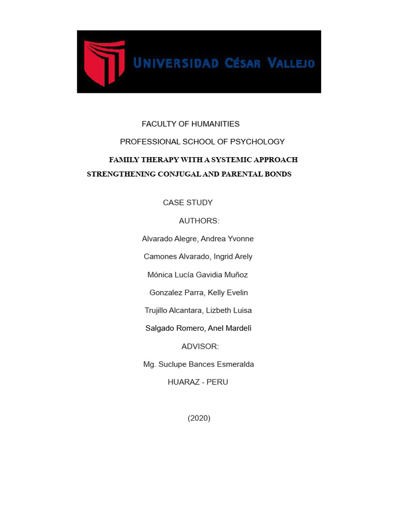 Systemic Family Therapy Case Study | PDF | System | Systems Theory