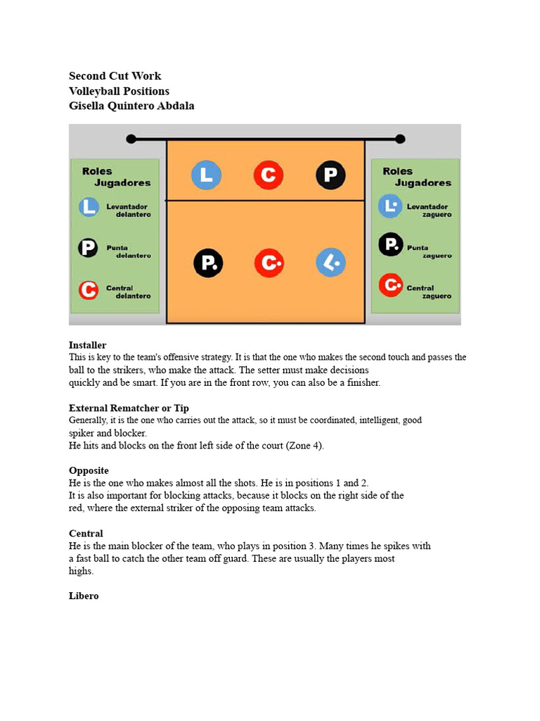 Volleyball: Positions and Roles | PDF