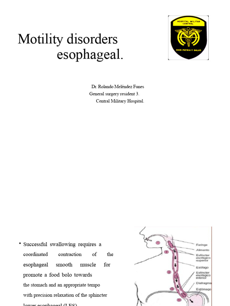 Esophageal Motility Disorders | PDF | Esophagus | Diseases And Disorders