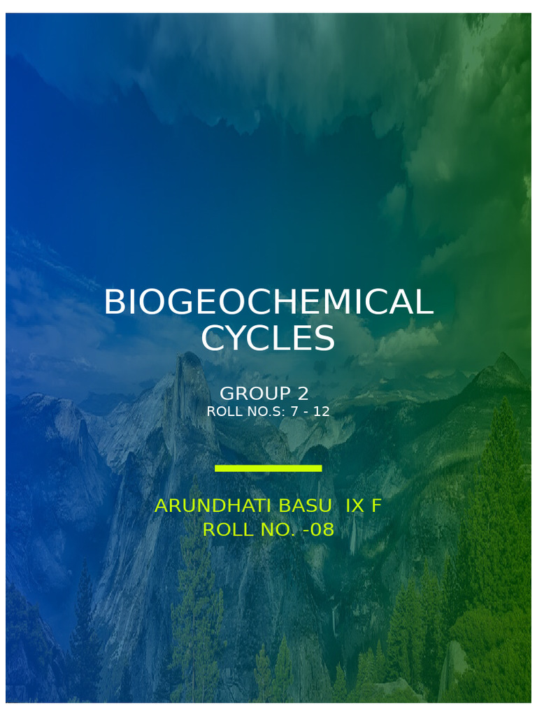 Understanding Biogeochemical Cycles | PDF | Carbon Cycle | Nitrogen