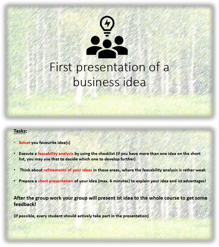 Business Idea Presentation Guide | PDF