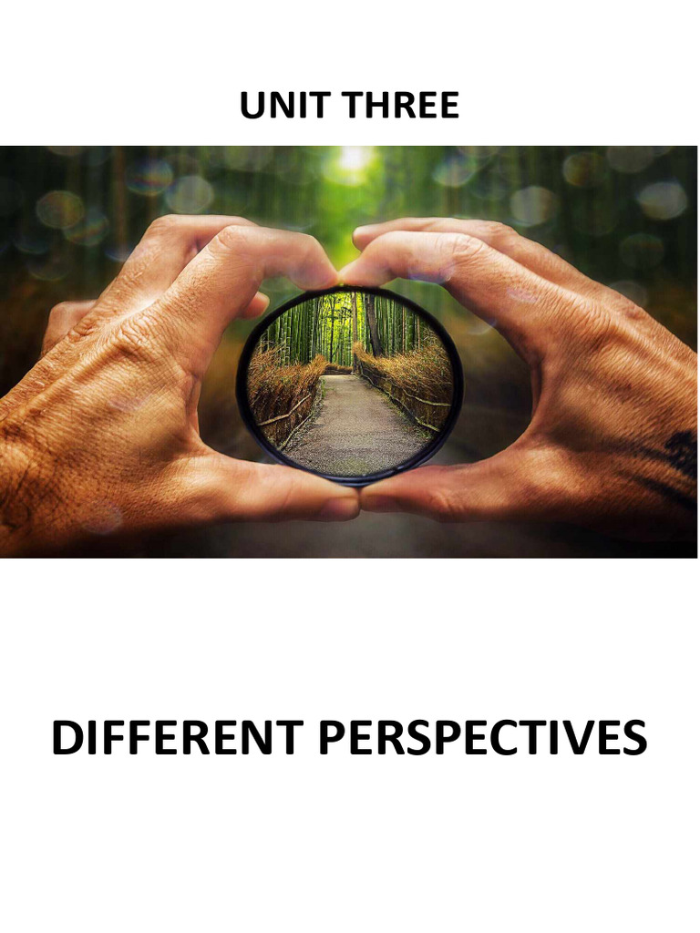Different Perspectives TS | PDF