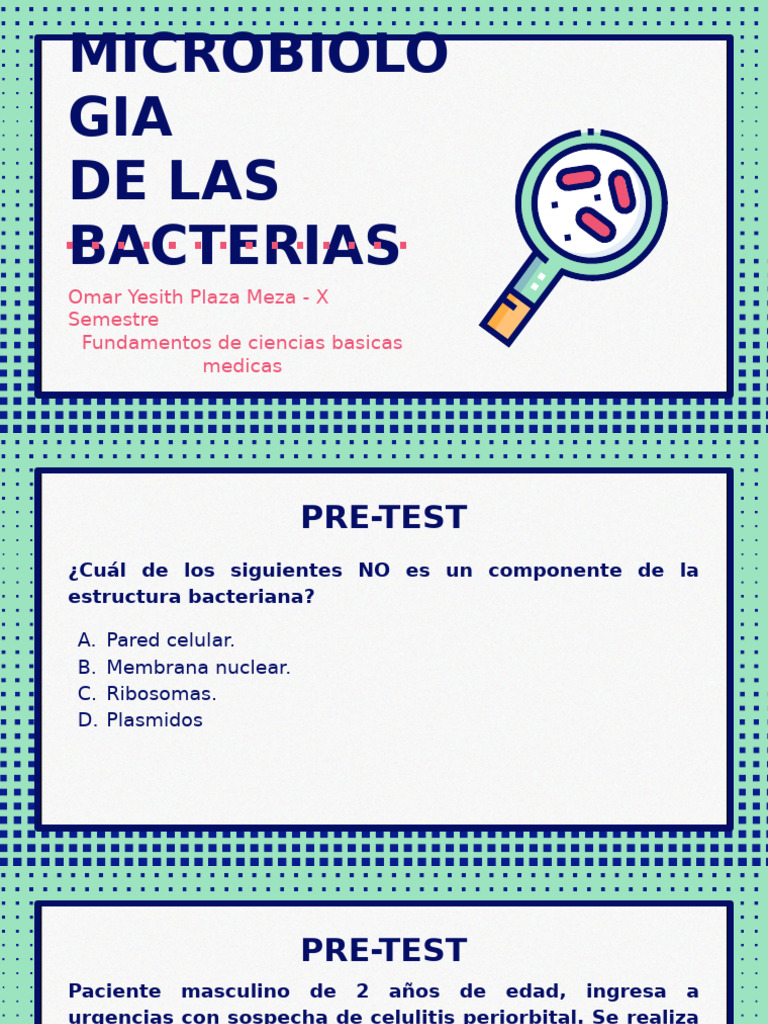 Bacteria | PDF | Las bacterias | Bacterias Gram Positivas