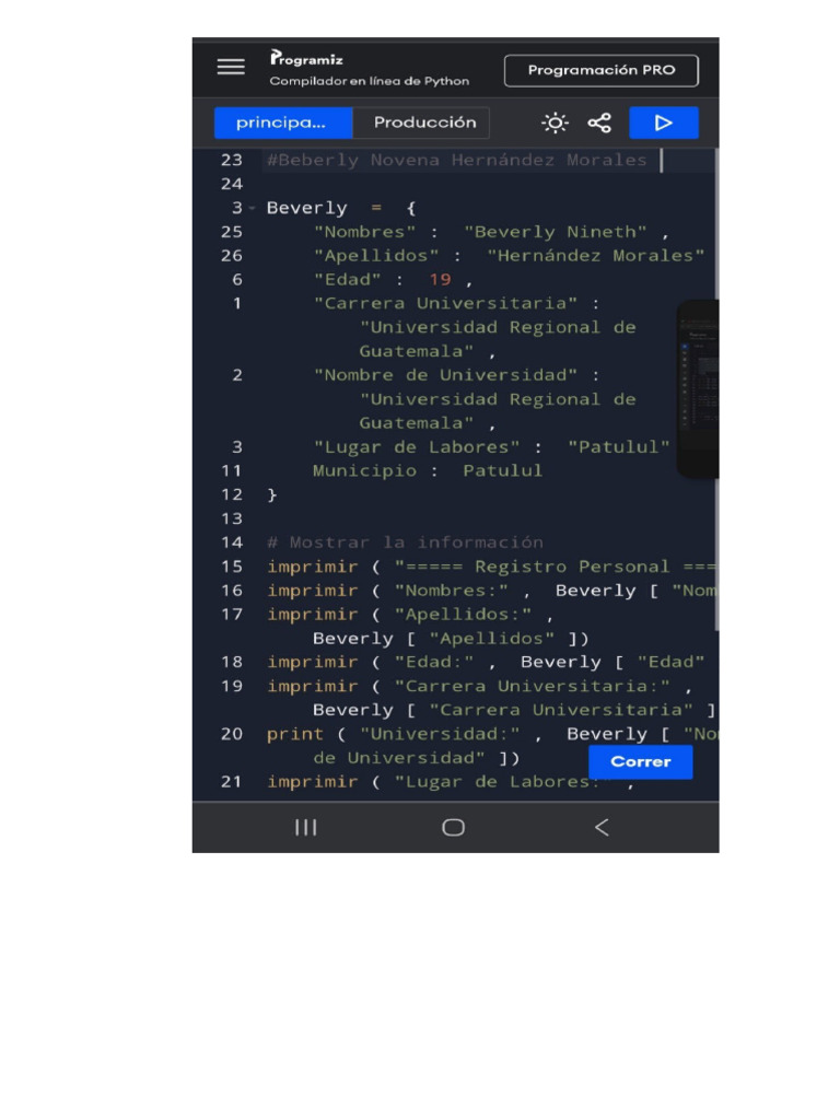Nineth Programación | PDF
