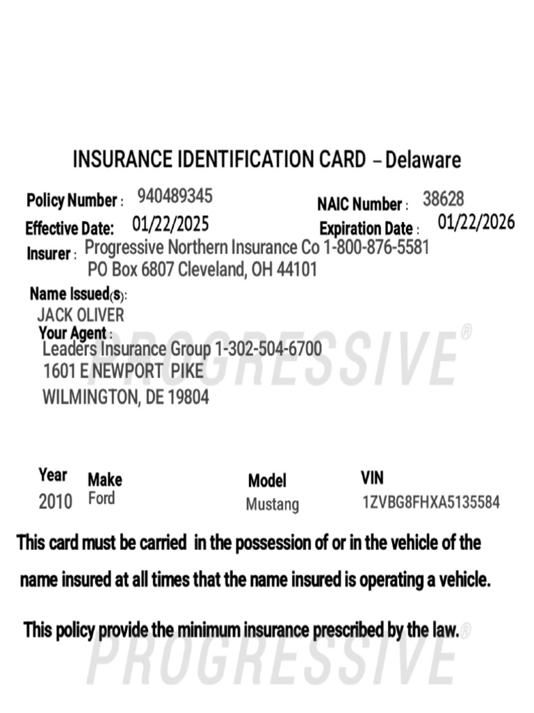 Insurance Identification | PDF