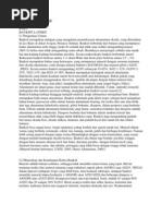 Download BAUKSIT LATERIT by carolynputri SN94853974 doc pdf
