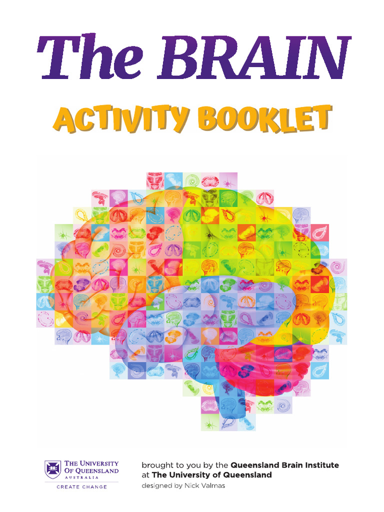 QBI The BRAIN Activity Booklet | PDF