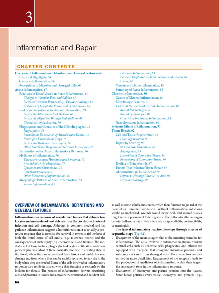 Tony Robbins visual data 4