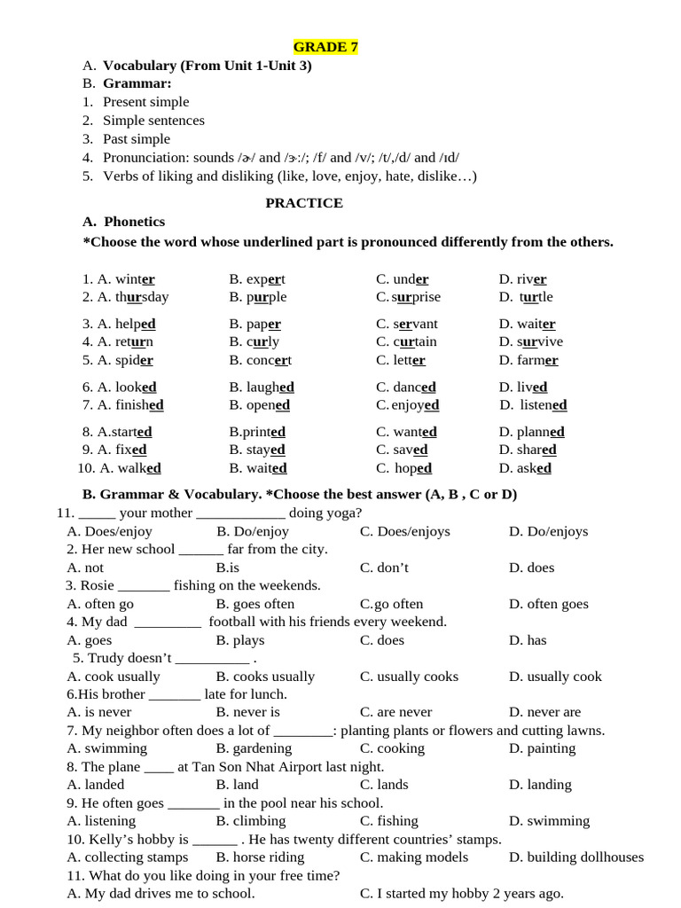 Grade 7 Vocabulary and Grammar Review | PDF