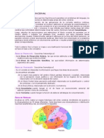 Clasificación Funcional