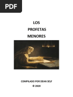 Resumen de los 12 profetas menores | PDF | Doce profetas menores | Profeta