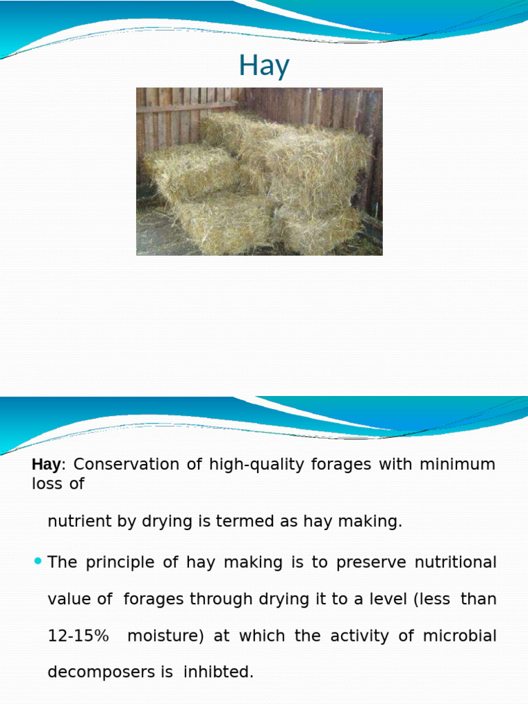 Hay | PDF | Hay | Agronomy