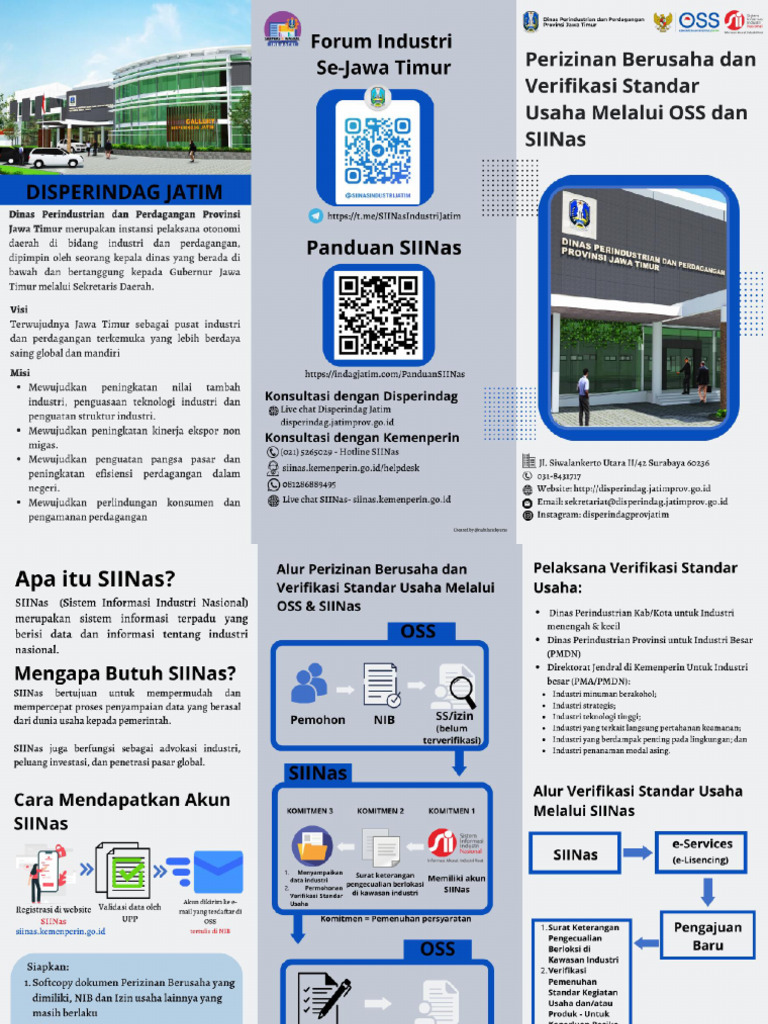 Leaflet SIINas | PDF