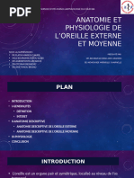 Anatomie de la Sphère ORL | PDF | Oreille | Système vestibulaire