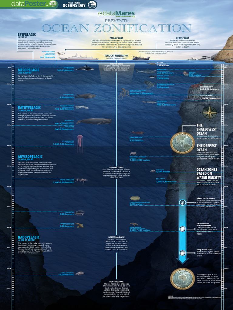 Ocean Zones and Depths Explained | PDF | Oceans | Applied And ...