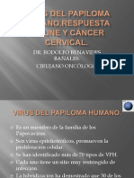 Virus Del Papiloma Humano, Respuesta Inmune y Cáncer Cervical