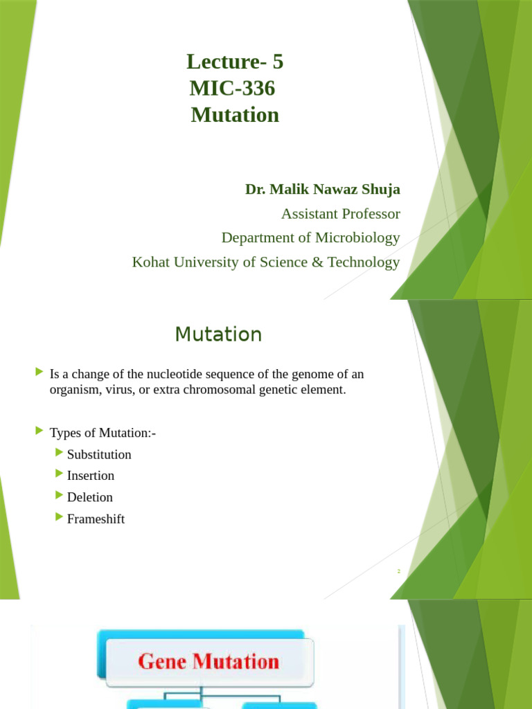 Understanding Genetic Mutations | PDF | Mutagen | Dna