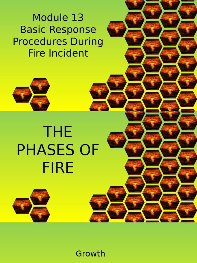 Fire Incident Response Procedures | PDF | Combustion | Fires