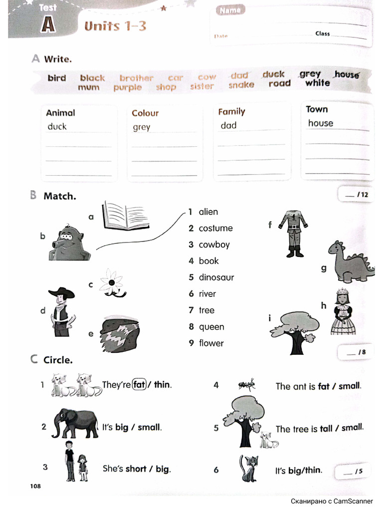 Fizz 1 Practise Tests | PDF