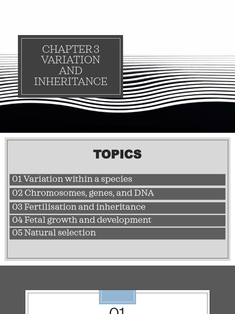 Variation and Inheritance in Biology | PDF | Fertilisation | Gene