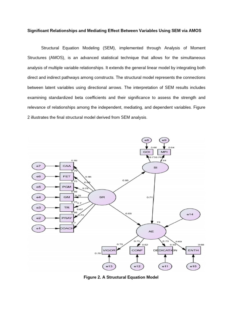 France Result | PDF | Structural Equation Modeling | Statistical Analysis