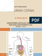 Saluran Cerna (PA)