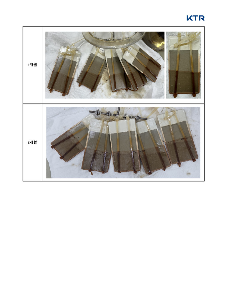 Nace Tm0174 Test - 2months | PDF
