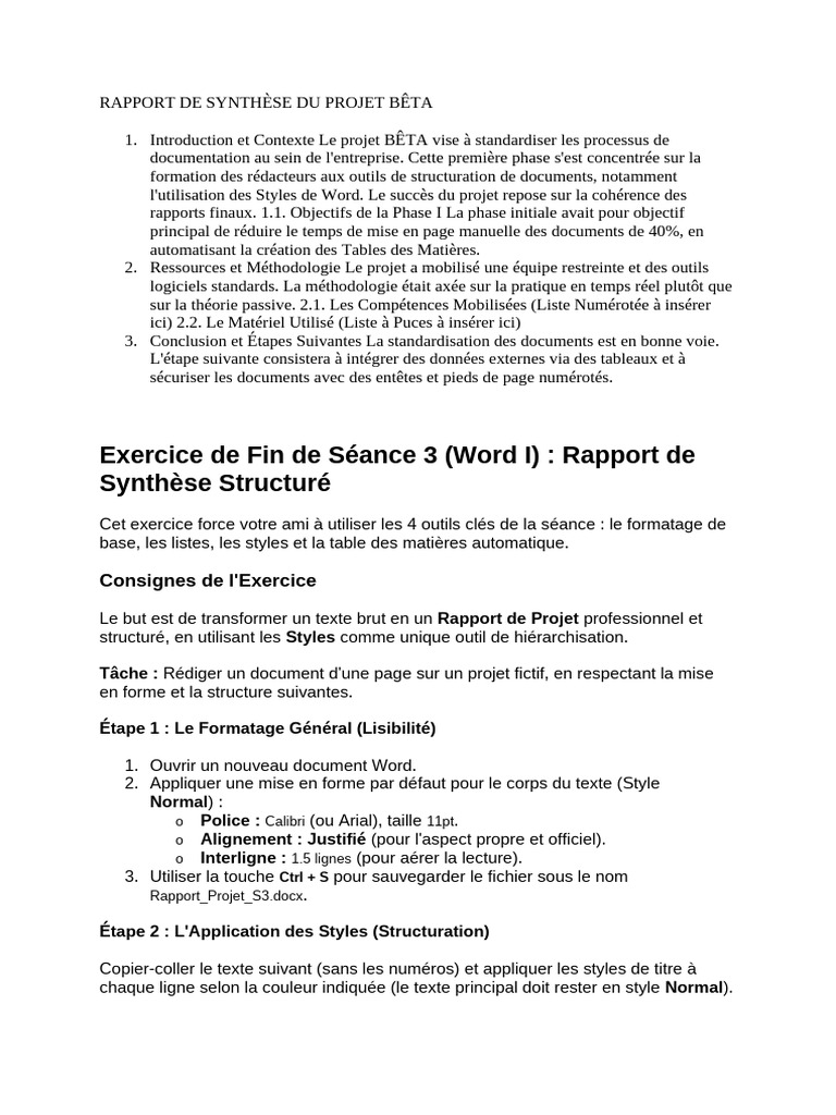 Rapport de Synthèse Projet BÊTA | PDF | Microsoft Word | Informatique
