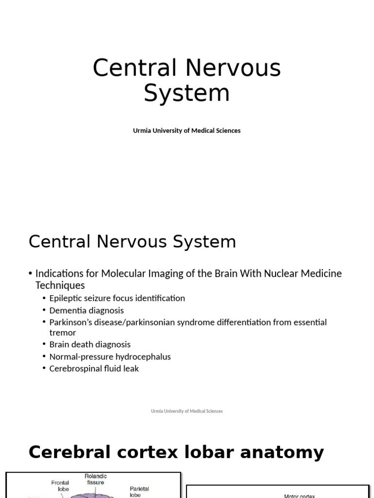 Central Nervous System Imaging and Disorders | PDF | Dementia ...