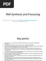 RNA Synthesis and Processing