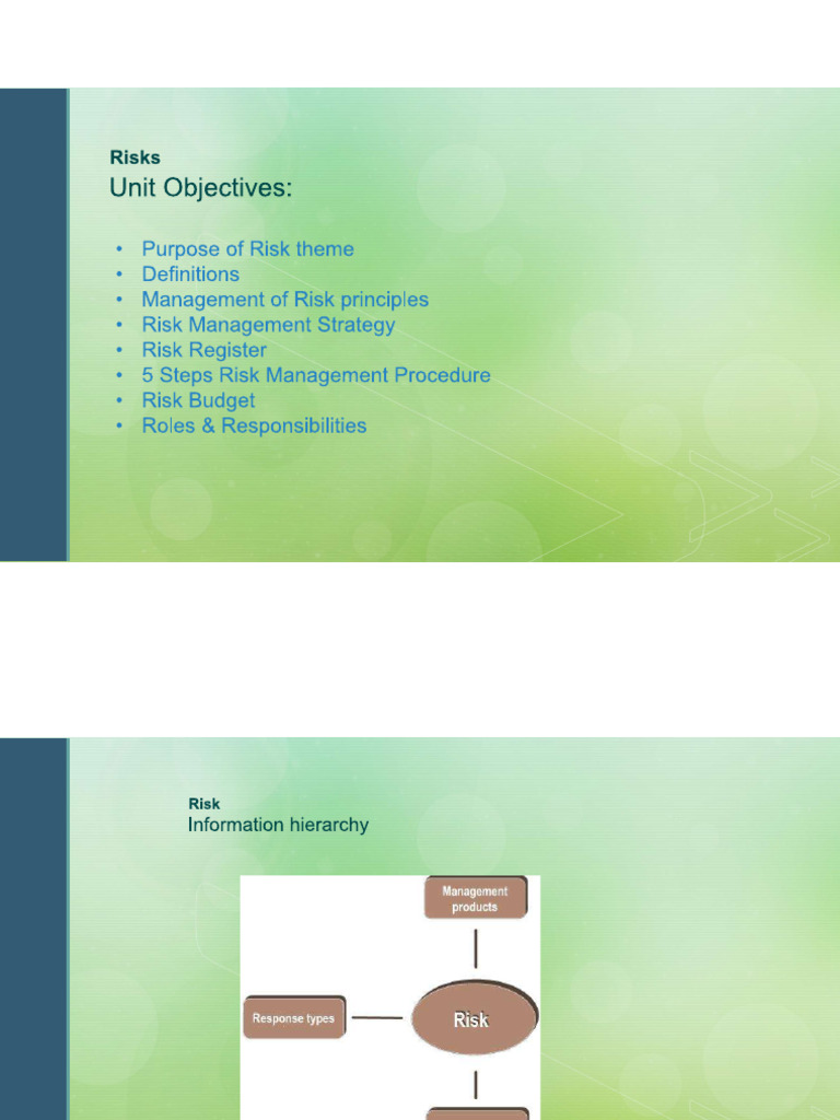 Risk Management | PDF