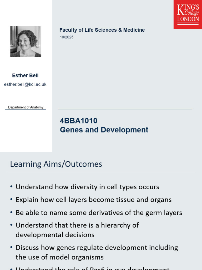 Genes and Development Overview | PDF | Developmental Biology | Embryo