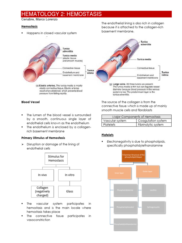Hemostasis | PDF | Platelet | Coagulation