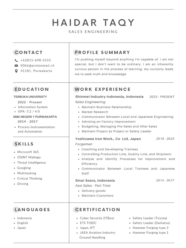 Sales Engineer Profile and Skills | PDF
