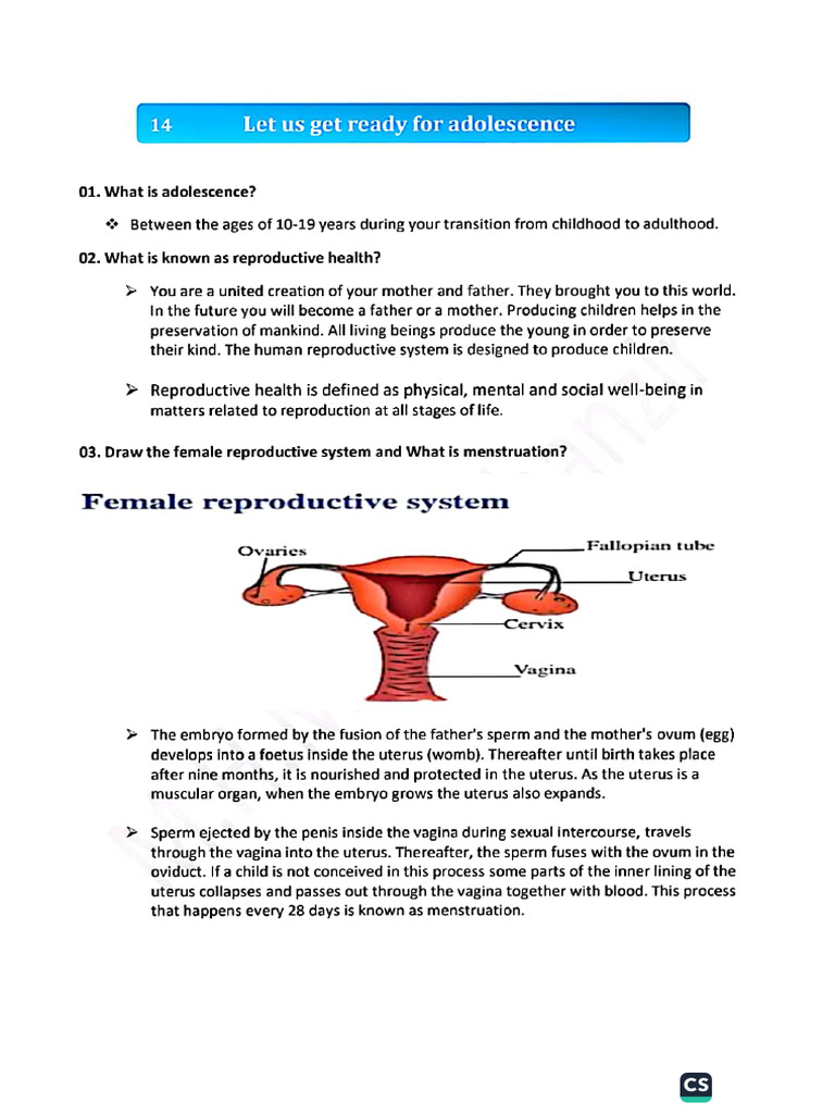 Health Notes Chapter 14 and 15 | PDF