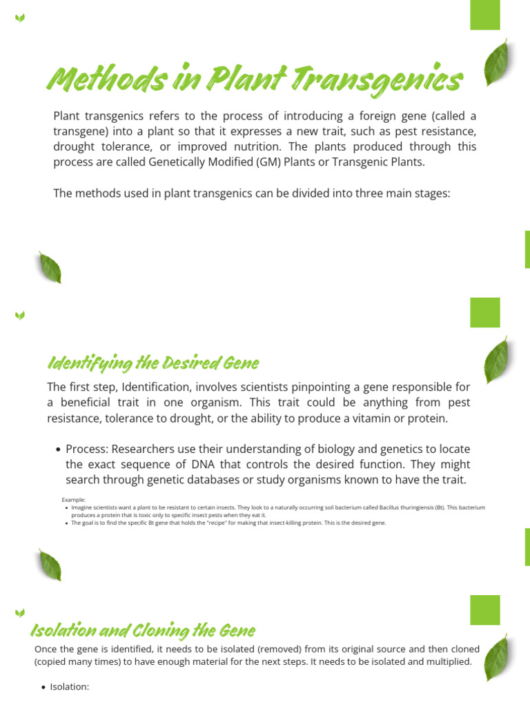 Plant Transgenics: Methods Overview | PDF | Molecular Cloning ...
