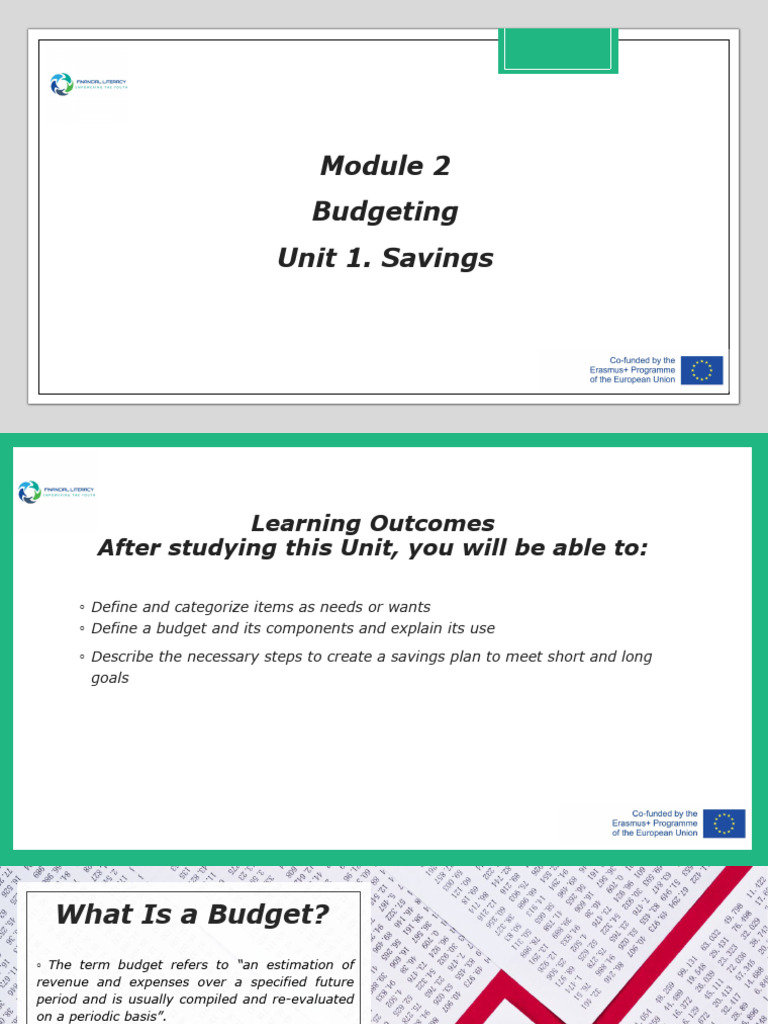 Financial literacy | PDF | Budget | Government Budget Balance