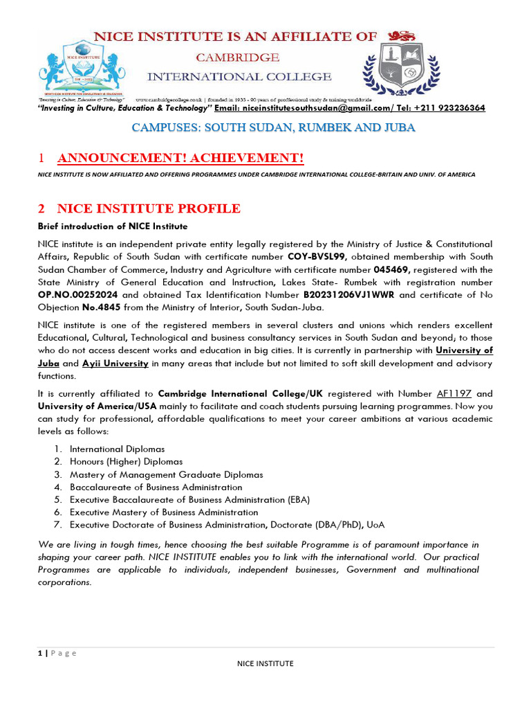 NICE Institute: Education & Consultancy in South Sudan | PDF | Non ...