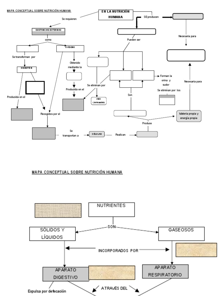 Mapa Conceptual de Nutricion