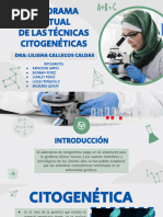 Técnica FISH: Hibridación Fluorescente en Citogenética | PDF ...