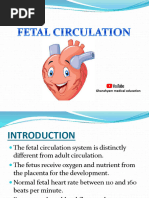Fetal Circulation Flow Chart | PDF